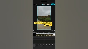 How to REMOVE VOICE or AUDIO in CapCut Tutorial