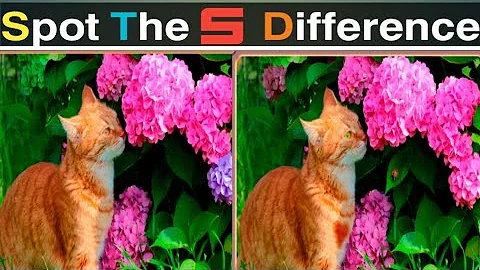 BET YOU CAN'T FIND THE DIFFERENCE! | 100% FAIL | all difference Photo Puzzle video #jk difference