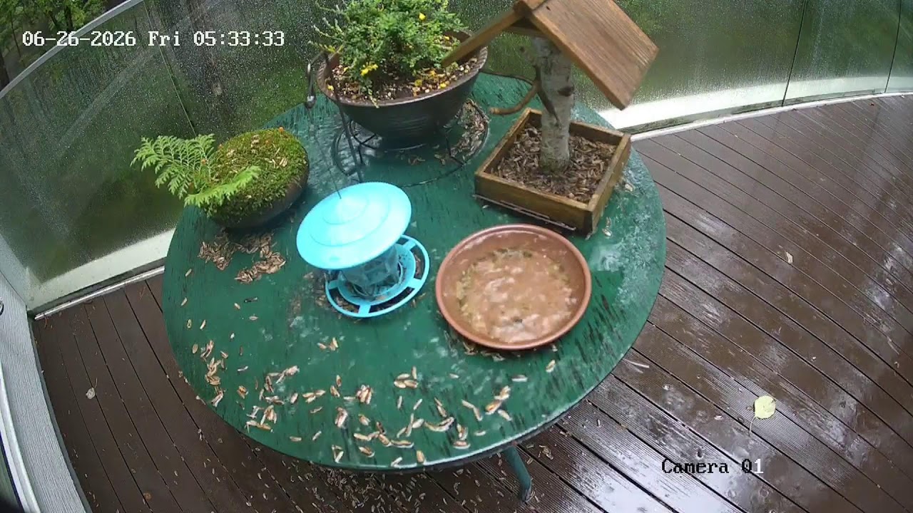 旧軽井沢鳥の餌箱