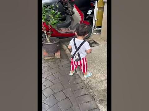 [寶寶] [台中]寶寶走路異常醫生推薦?(內有影片)