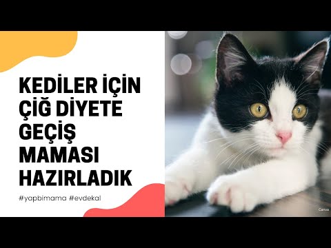 Video: Çiğ Kedi Maması Diyetleri