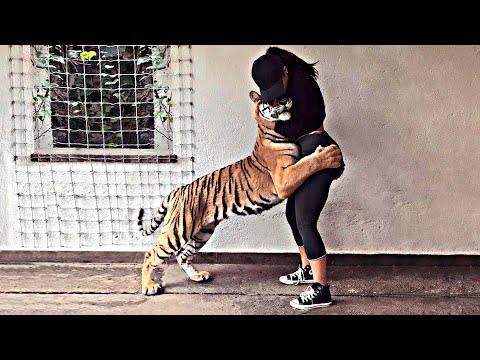 Попробуй НЕ ЗАПЛАКАТЬ! 😥 Топ 20 Моментов Встречи Животных с Хозяевами После Долгих Лет Разлуки №6