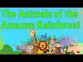 The Animals of the Amazon Rainforest for kids