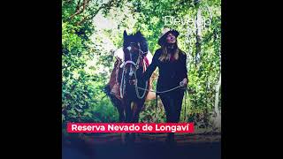 RESERVA NEVADO DE LONGAVI, CORDILLERA DEL MAULE