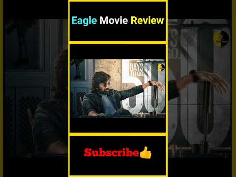 Today Topic :- Eagle - YOUTUBE