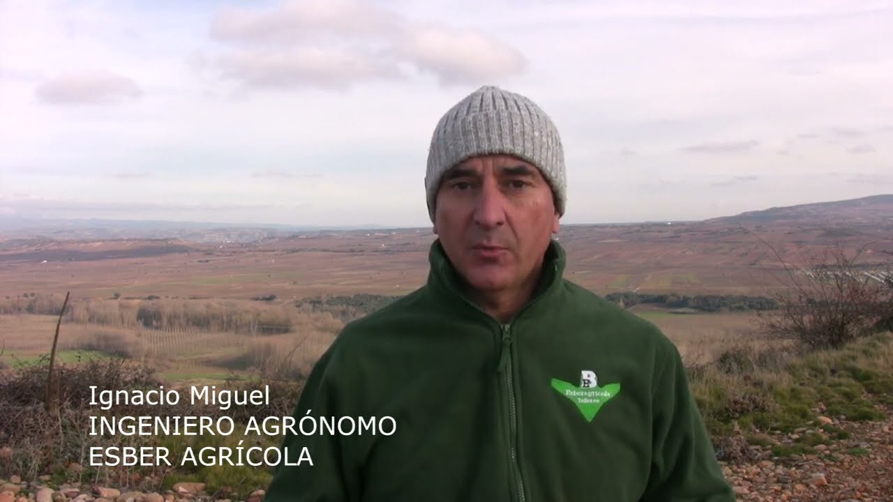 Hierbas invasoras y aperos intercepas