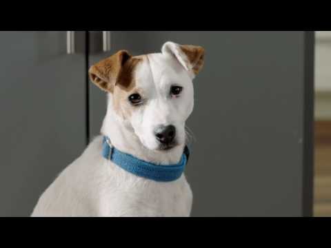 General Mills Cereal Secret Life of Pets TV commercial
