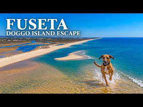 Video thumbnail: Fuseta, Portugal | Island Adventures with Your Dog