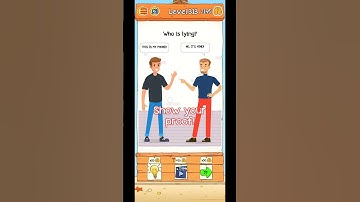 Braindom 2: Who is Lying? Fun Brain Teaser Riddles: Level 313 Solution or Walkthrough