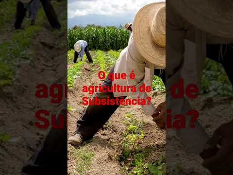 Vídeo: Na agricultura de subsistência um agricultor?