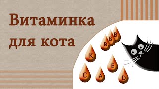 Витамины для кошек на натуральном питании: какие, сколько, зачем