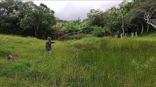 quase não tinha água mas peixe tava fazendo fila pra pegar a isca