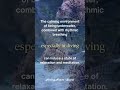 Under the sea https://youtube.com/@healingnature-soundsfromnature?si=lOJHRYGIvS4xE0BM