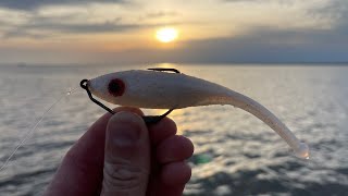 THIS Lure Catches BIG FISH! | Spring Time Wade Fishing