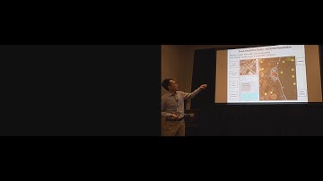 The Effect of Culture on Trust in Automation: Reliability and Workload