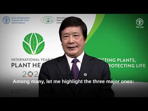 IPPC Secretary on
