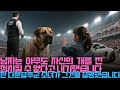 남자는 아무도 자신의 개를 진정시킬 수 없다고 내기했습니다—한 다운증후군 소녀가 그것을 증명했습니다