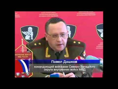 дата рождения вв