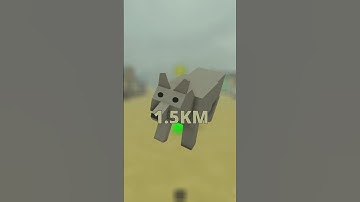 Best fuel sources in Dead Rails #deadrails #roblox #robloxdeadrails #gaming #deadrail