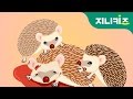 Raising Hedgehogs | Keeping Unique Pets |  Animated Animal Pictures