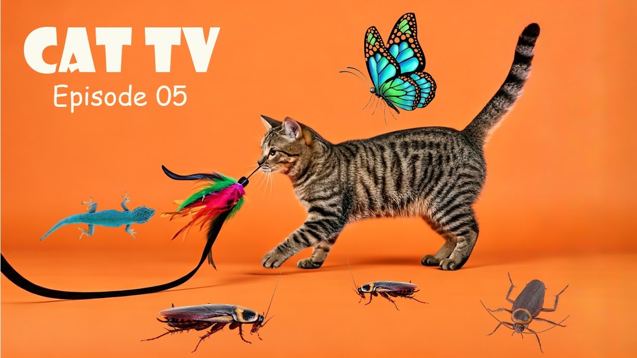 Cat TV 🙀Game to Catch Lizards, Butterflies & Cockroaches That Will Drive Your Cat Wild!🐾