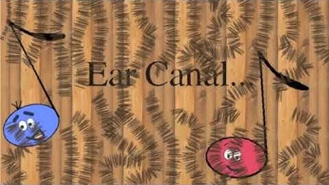 Brain Awareness Video Contest: The Journey of Sound