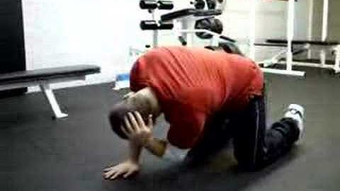 Quadruped Extension and Rotation - Thoracic Mobility