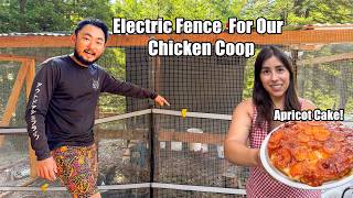 Keeping Our Chickens Safe From Predators | Electric Fence