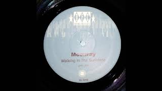 Moonray - Walking In The Sunshine (Radio)