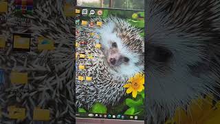 Redmi note7 the system has been destroyed Emmc cheges 32/64 update #mobile_Mastar_Rasel #Viral_reels