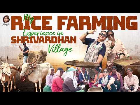 My Rice Farming Experience in Shrivardhan Village | Village Rice Farming | Ali Reza | Latest Video