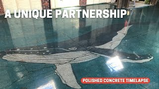 Concrete Polishing Job Timelapse