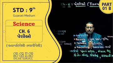 SGIS | STD 9 Science | Ch.6 પેશીઓ (વનસ્પતિપેશી અને સ્થાયીપેશી ) Part 01 B | Ft. Raiyani  Sir | G861