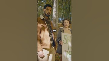 The Chipko Movement: Hugging Trees to Save Them! #ecofriendly #facts #zerowastejourney