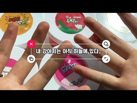 내 개는 아직하늘에 있다,,  나만개없어 ,, 키크는 방법 알려주세요