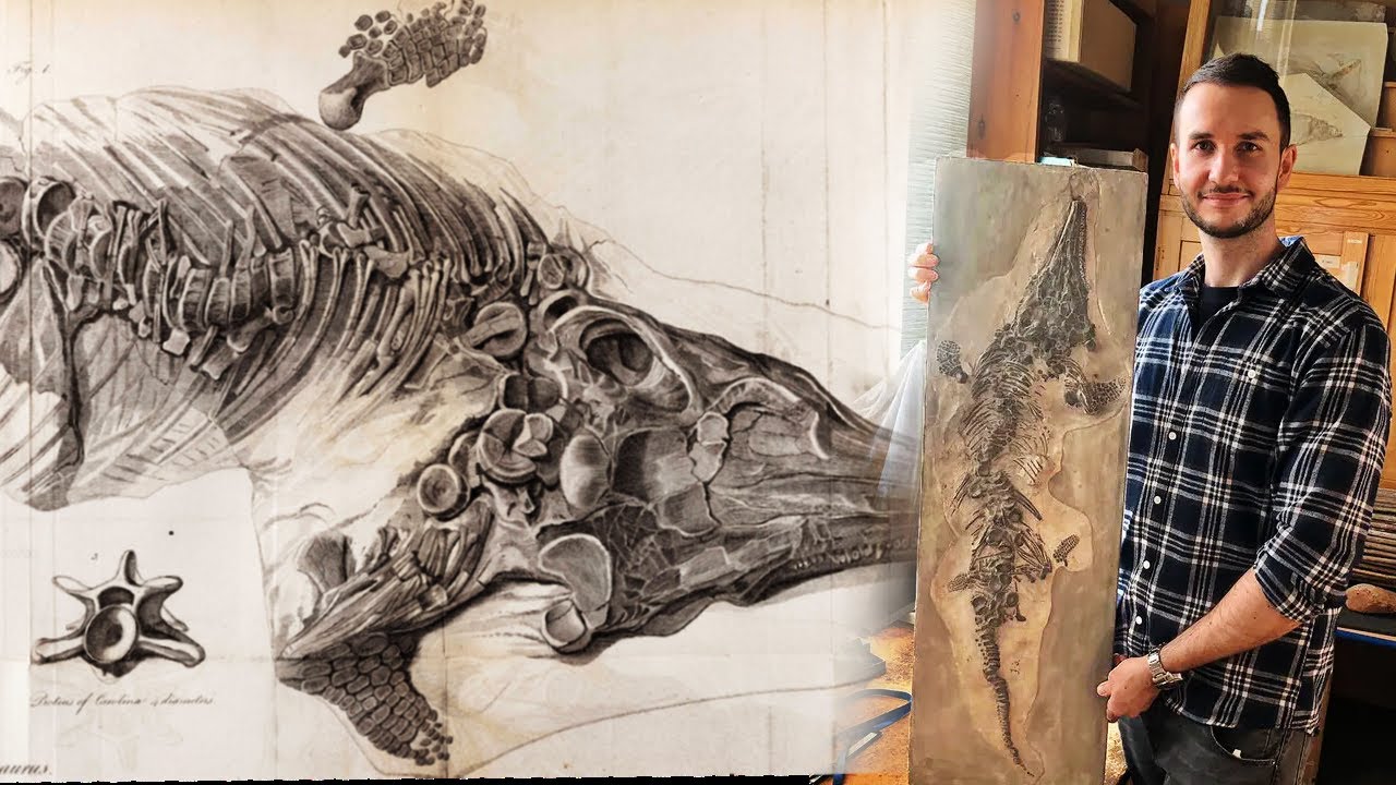 Unveiling the Past: Scientists Recover Lost ‘Sea Monster’ Fossils Destroyed in WWII