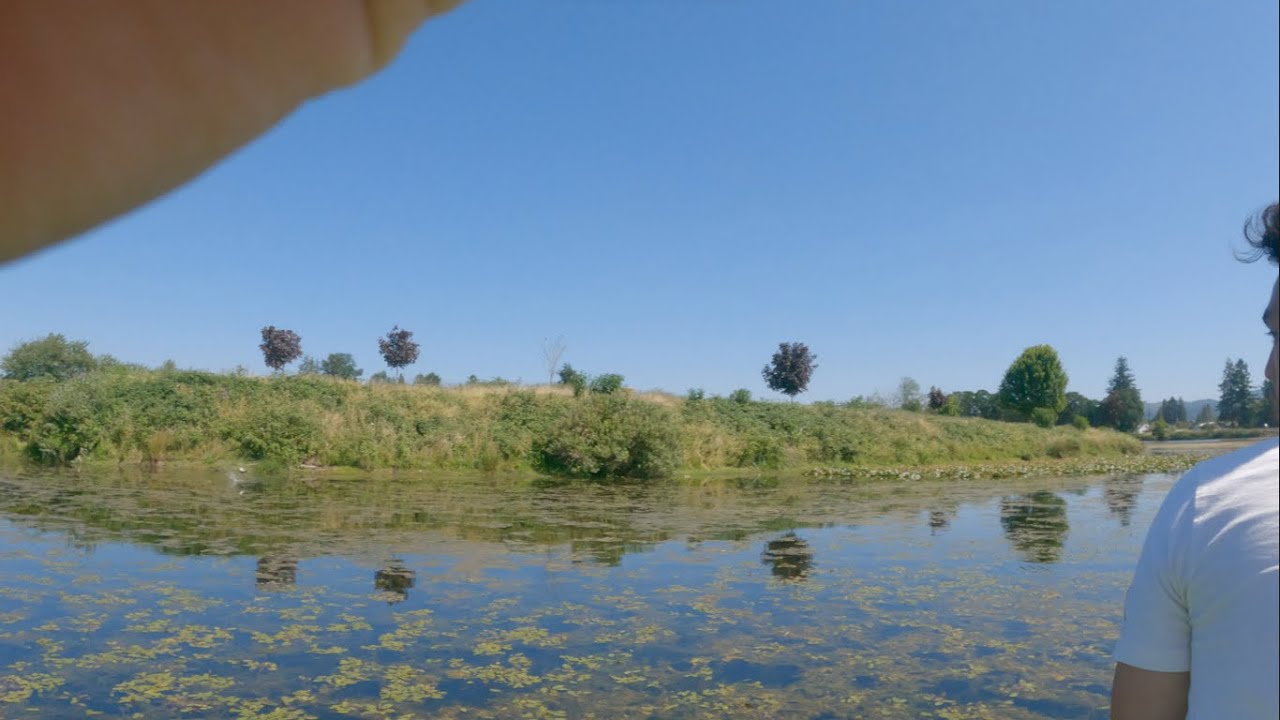 LOSING A 5+LBER BASS AND *REACTIONS* to BASS FISHING 4K