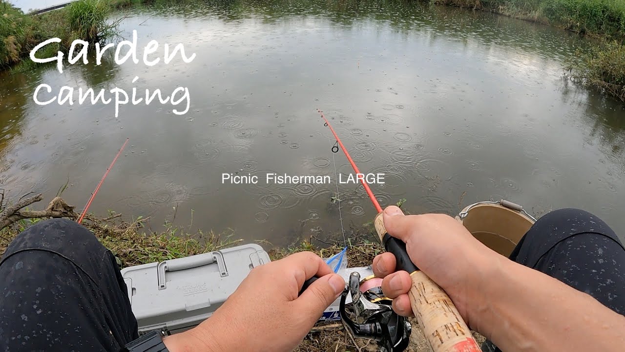 酔いどれ庭キャンプ 庭池のウグイを釣って食べてみる  釣ってきた小魚池に放流!