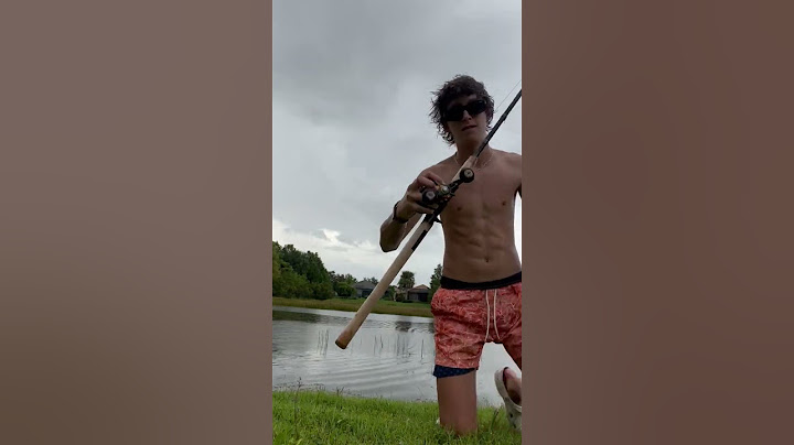 Scary alligator creeps up behind Florida man showing off his catch