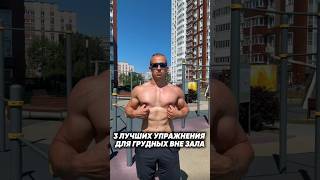 Тренировка на грудь без железа💪🏻
