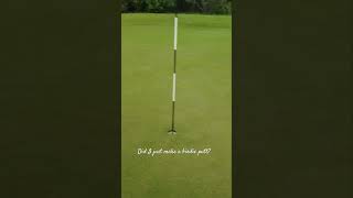 Did I make a birdie? #beginnergolf #golf #golfswing #golfer #birdie #putting #golflife #progolfer