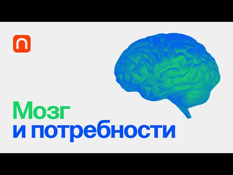 Видео: Мозг и потребности — курс Вячеслава Дубынина / ПостНаука
