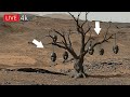 Mars Amazing Footages :Perseverance Rover Recently Released Mars Latest Images | New Mars Photos1792