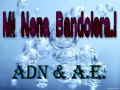 Mi Nena Bandolera - Arte Elegante FT. ADN.wmv