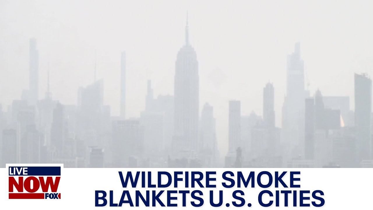 Air Quality Health Advisory Issued for Long Island, New York City ...