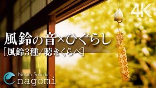 Nature Sounds  Sound of Japanese Wind Chimes | Nature Sounds for Sleeping, Relax, Meditation, Study