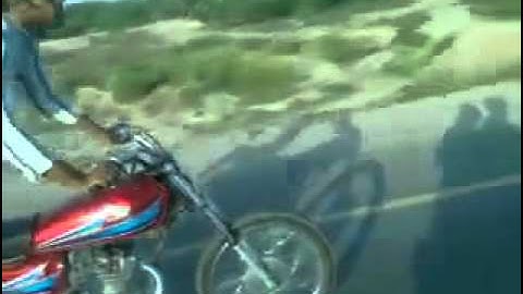 Wheeler Toba Tek Singh