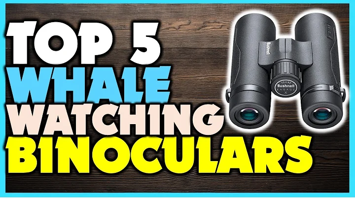 Top 5 Binoculars | Best Binoculars For Whale Watching