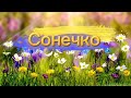 &quot;Сонечко&quot;! Ніжна НОВА пісенька на свято весни, 8 березня! Дитячий Хіт!