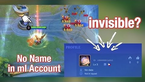 How to make Mobile Legends Name Invisible?
